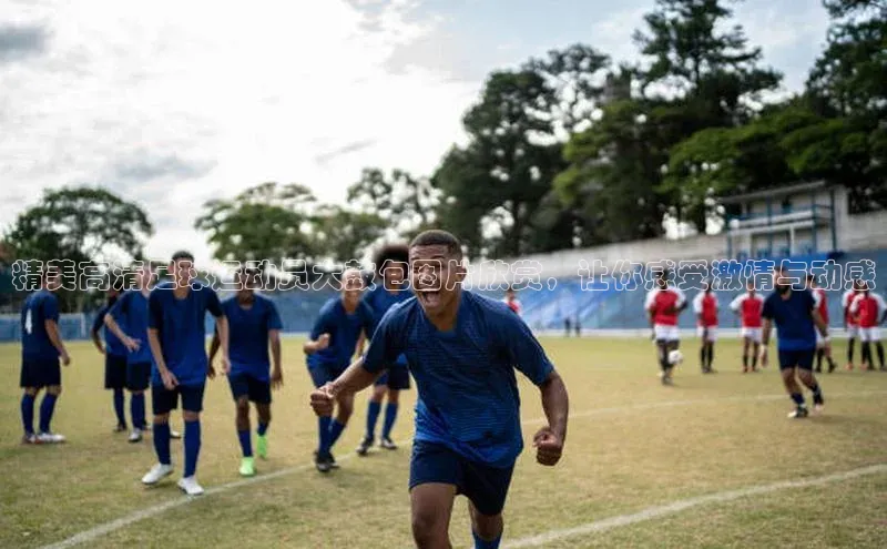 新宝GG手机版路畅科技