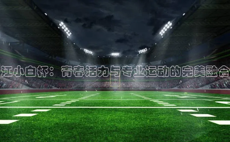 新宝gg开户登录极氪智能科技