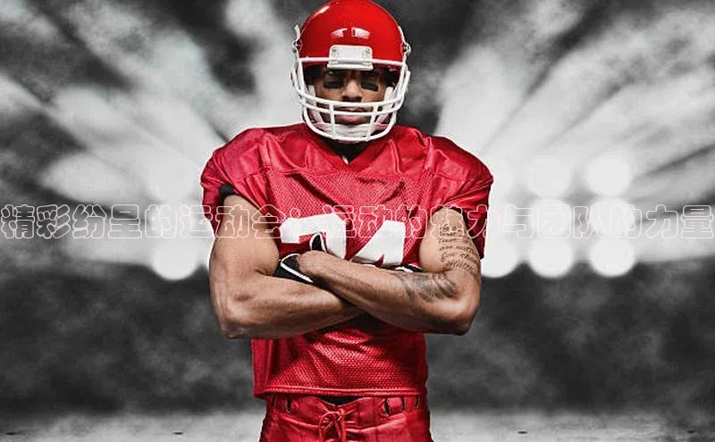 新宝网站登录入口百度搜索资源平台