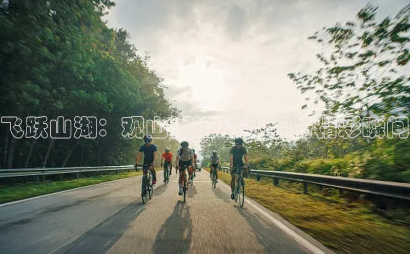 新宝gg平台注册官网