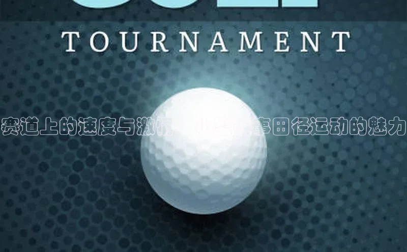 新宝登录app入口手机版