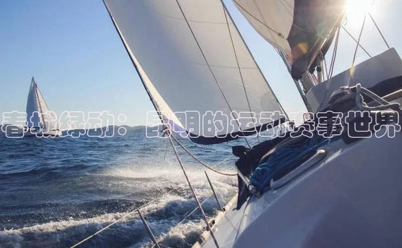 新宝网站登录入口