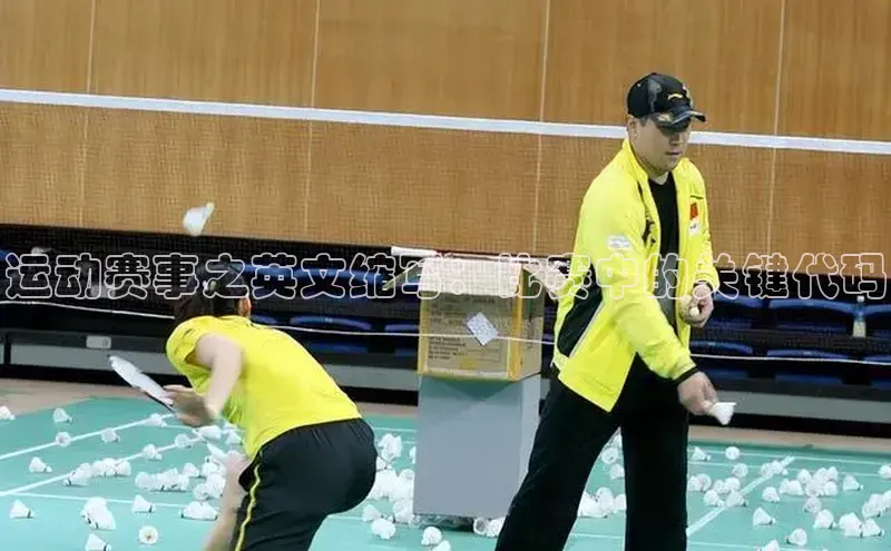 新宝gg平台注册