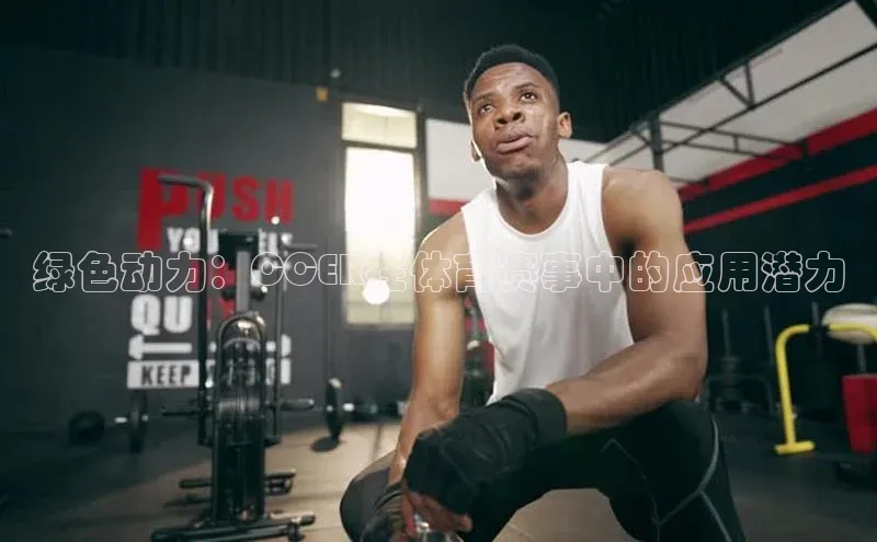 新宝网站登录入口