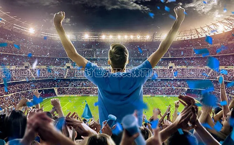 新宝网站登录入口