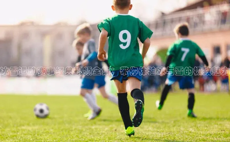 冰雪运动赛事经典视频全集：带你体验冰与雪的极致魅力